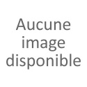 Réseaux mesh LoRa