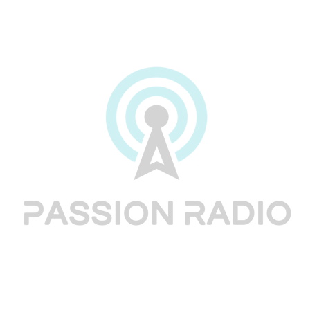 Filtre passe-bande BPF 70cm faible perte Fiche N 200W 430-450 MHz (AA)